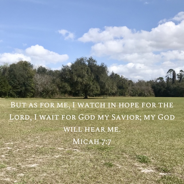 Christian Counseling Lake Mary FL